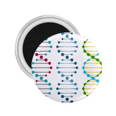 Genetic Dna Blood Flow Cells 2 25  Magnets