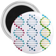 Genetic Dna Blood Flow Cells 3  Magnets by Mariart