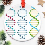 Genetic Dna Blood Flow Cells Ornament (Round) Front