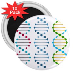 Genetic Dna Blood Flow Cells 3  Magnets (10 Pack)  by Mariart