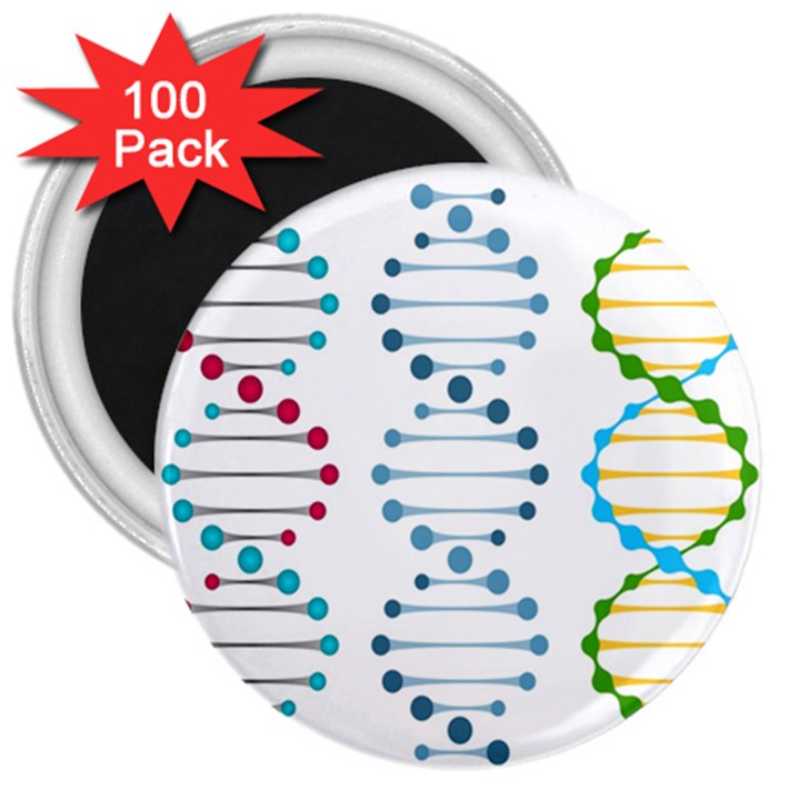 Genetic Dna Blood Flow Cells 3  Magnets (100 pack)