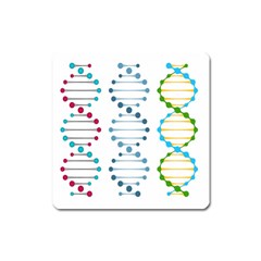 Genetic Dna Blood Flow Cells Square Magnet