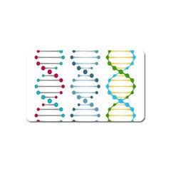 Genetic Dna Blood Flow Cells Magnet (name Card) by Mariart