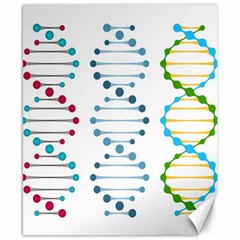 Genetic Dna Blood Flow Cells Canvas 8  X 10  by Mariart