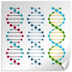 Genetic Dna Blood Flow Cells Canvas 20  X 20   by Mariart