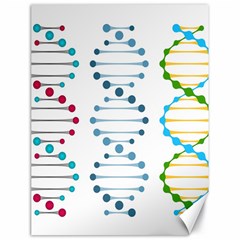 Genetic Dna Blood Flow Cells Canvas 18  X 24   by Mariart