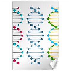 Genetic Dna Blood Flow Cells Canvas 24  X 36  by Mariart