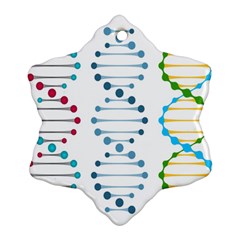 Genetic Dna Blood Flow Cells Snowflake Ornament (two Sides) by Mariart