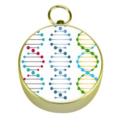 Genetic Dna Blood Flow Cells Gold Compasses