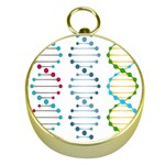 Genetic Dna Blood Flow Cells Gold Compasses Front