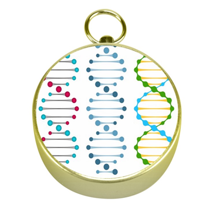 Genetic Dna Blood Flow Cells Gold Compasses