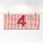 Number 4 Line Vertical Red Pink Wave Chevron Cosmetic Storage Cases Front