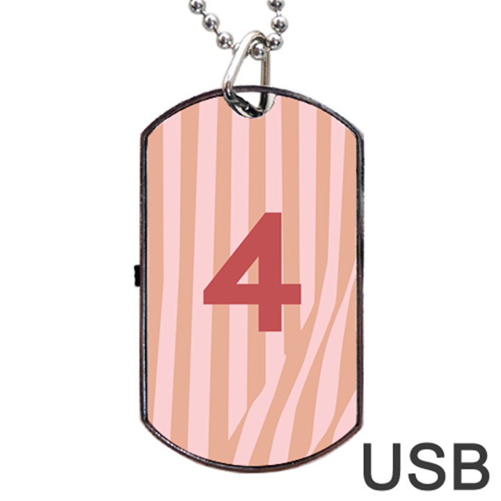 Number 4 Line Vertical Red Pink Wave Chevron Dog Tag USB Flash (Two Sides)