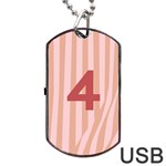 Number 4 Line Vertical Red Pink Wave Chevron Dog Tag USB Flash (Two Sides) Back