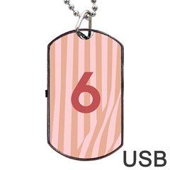 Number 6 Line Vertical Red Pink Wave Chevron Dog Tag Usb Flash (two Sides) by Mariart