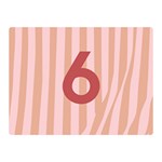 Number 6 Line Vertical Red Pink Wave Chevron Double Sided Flano Blanket (Mini)  35 x27  Blanket Front