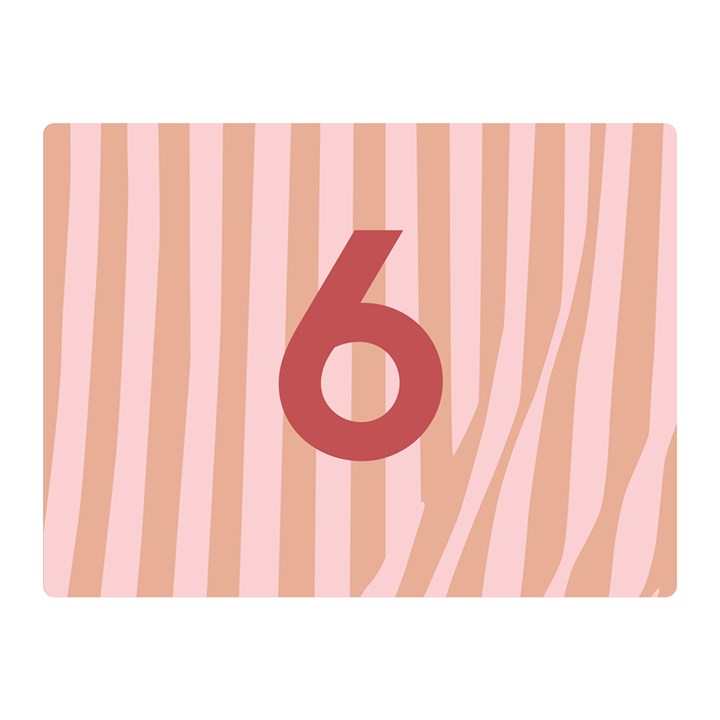 Number 6 Line Vertical Red Pink Wave Chevron Double Sided Flano Blanket (Mini) 