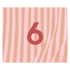 Number 6 Line Vertical Red Pink Wave Chevron Double Sided Flano Blanket (small)  by Mariart