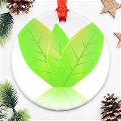 Leaves Green Nature Reflection Ornament (round) by Nexatart