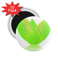 Leaves Green Nature Reflection 2 25  Magnets (10 Pack)  by Nexatart