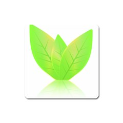 Leaves Green Nature Reflection Square Magnet