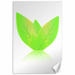 Leaves Green Nature Reflection Canvas 20  x 30  