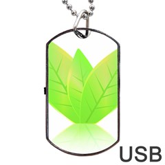 Leaves Green Nature Reflection Dog Tag Usb Flash (two Sides) by Nexatart