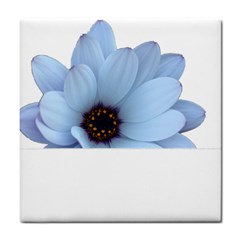 Daisy Flower Floral Plant Summer Tile Coasters by Nexatart