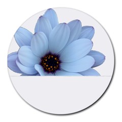 Daisy Flower Floral Plant Summer Round Mousepads by Nexatart