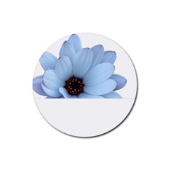 Daisy Flower Floral Plant Summer Rubber Coaster (round)  by Nexatart