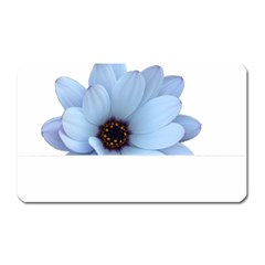 Daisy Flower Floral Plant Summer Magnet (rectangular)