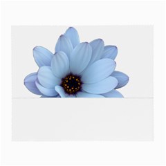 Daisy Flower Floral Plant Summer Small Glasses Cloth by Nexatart