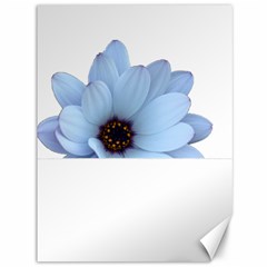 Daisy Flower Floral Plant Summer Canvas 36  X 48   by Nexatart