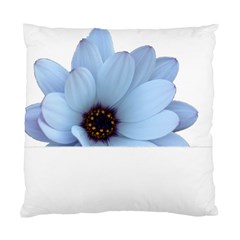 Daisy Flower Floral Plant Summer Standard Cushion Case (one Side) by Nexatart