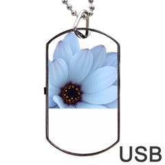 Daisy Flower Floral Plant Summer Dog Tag Usb Flash (one Side) by Nexatart