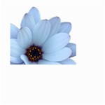 Daisy Flower Floral Plant Summer Large Garden Flag (Two Sides) Back