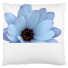 Daisy Flower Floral Plant Summer Large Cushion Case (two Sides) by Nexatart