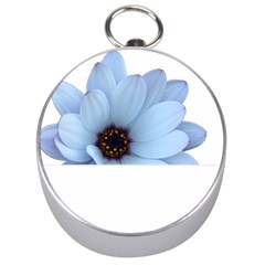 Daisy Flower Floral Plant Summer Silver Compasses by Nexatart