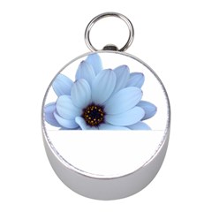 Daisy Flower Floral Plant Summer Mini Silver Compasses by Nexatart