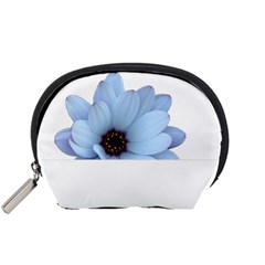 Daisy Flower Floral Plant Summer Accessory Pouches (small)  by Nexatart