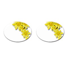 Flowers Spring Yellow Spring Onion Cufflinks (oval) by Nexatart