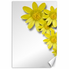 Flowers Spring Yellow Spring Onion Canvas 24  X 36 