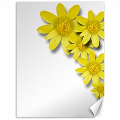 Flowers Spring Yellow Spring Onion Canvas 36  X 48   by Nexatart