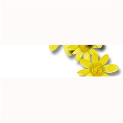 Flowers Spring Yellow Spring Onion Large Bar Mats by Nexatart