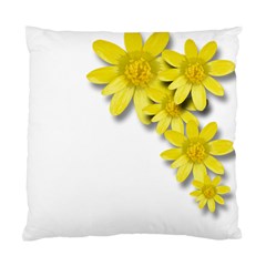 Flowers Spring Yellow Spring Onion Standard Cushion Case (two Sides) by Nexatart