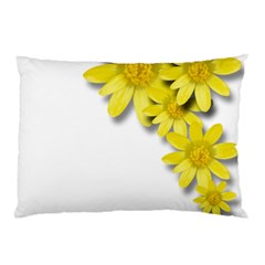 Flowers Spring Yellow Spring Onion Pillow Case by Nexatart