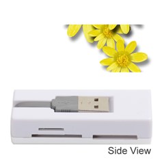 Flowers Spring Yellow Spring Onion Memory Card Reader (stick)  by Nexatart