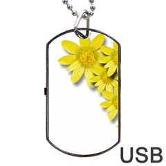 Flowers Spring Yellow Spring Onion Dog Tag Usb Flash (one Side) by Nexatart