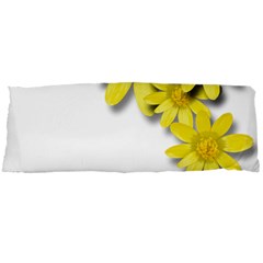 Flowers Spring Yellow Spring Onion Body Pillow Case Dakimakura (two Sides) by Nexatart