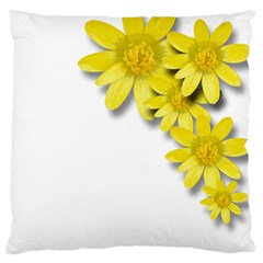 Flowers Spring Yellow Spring Onion Large Cushion Case (two Sides) by Nexatart